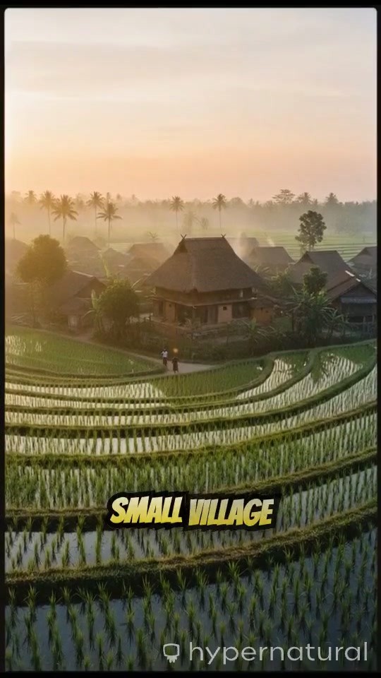 Tradition and Change in Ndi Okpalaeze