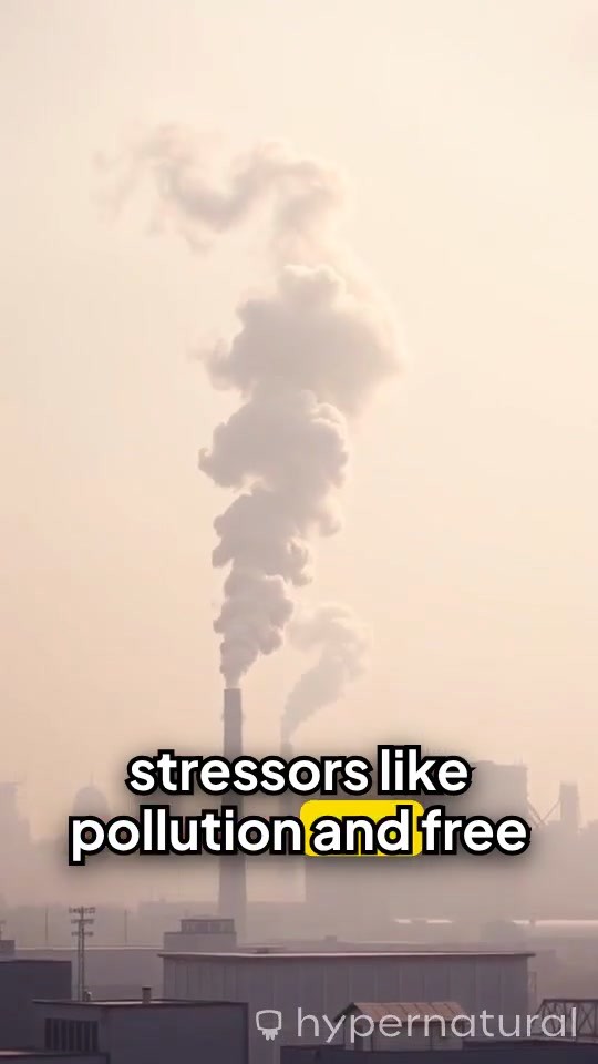 Elevate Your Skincare Game with Caldera + Lab The Good