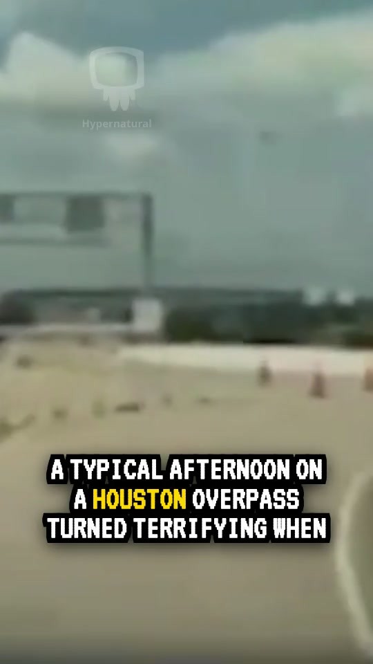 Cybertruck's Self-Driving Mode Nearly Sends Mom and Infant Off Bridge