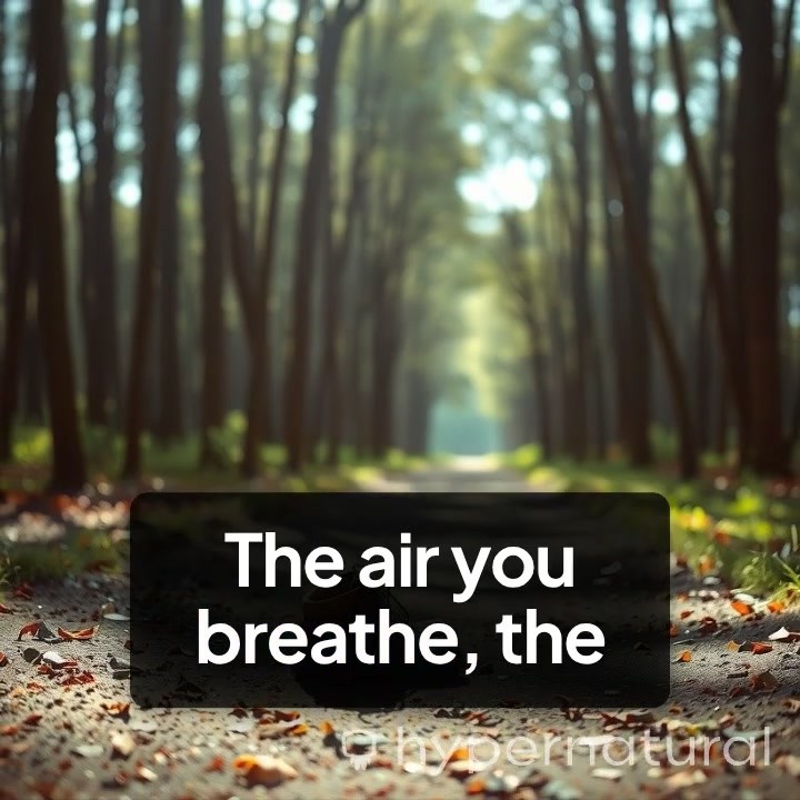 Embracing the Blessings Around Us