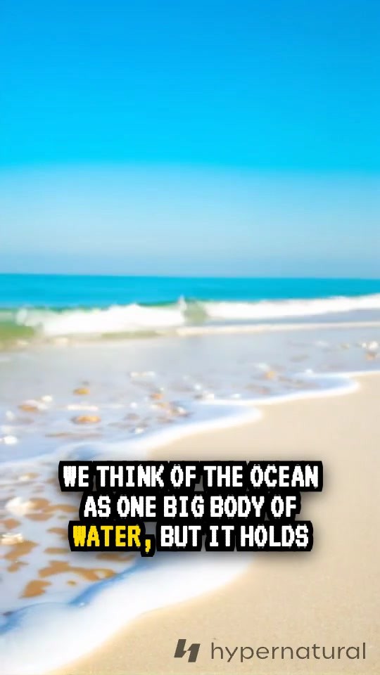 Rivers and Lakes of the Ocean: Exploring Brine Pools