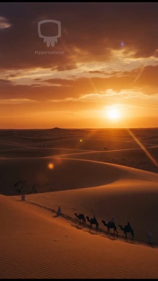 Transform Your Bedroom with This Bed Frame!