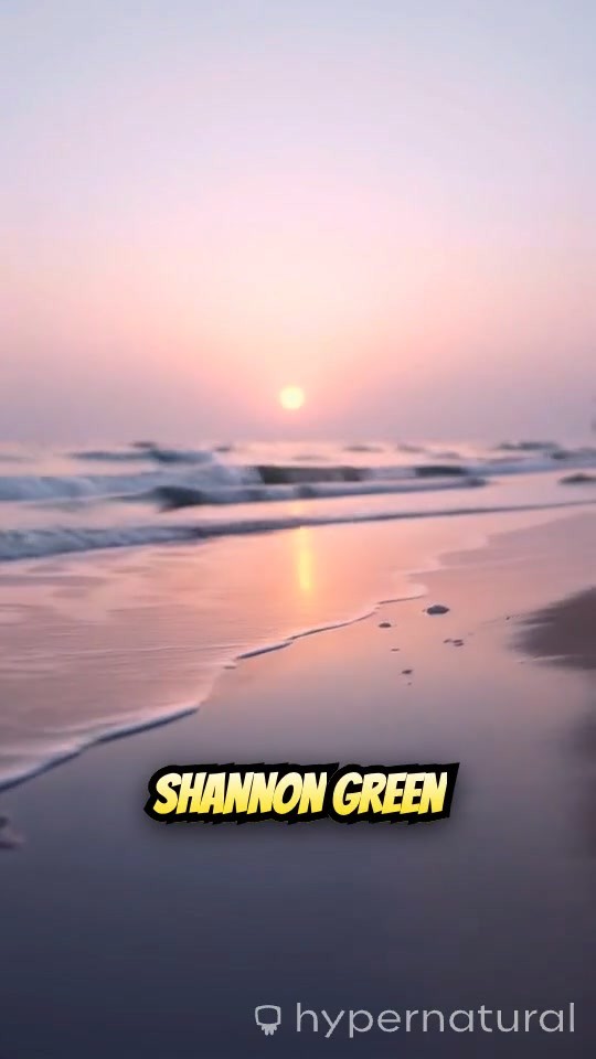 The Shoreline's Secrets: An Unraveling Mystery