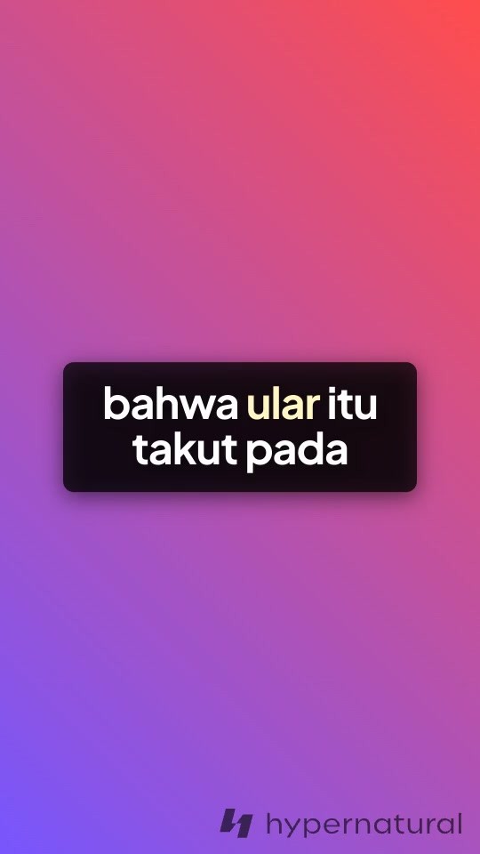 Petruk dan Gareng: Strategi Mengusir Ular