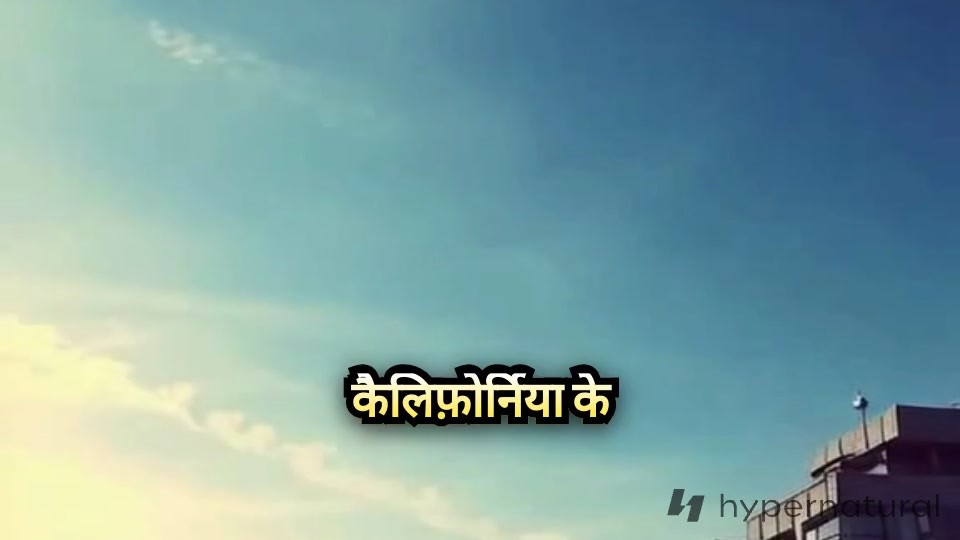 भयानक जंगल की आग ने लॉस एंजिल्स क्षेत्र में मचाई तबाही