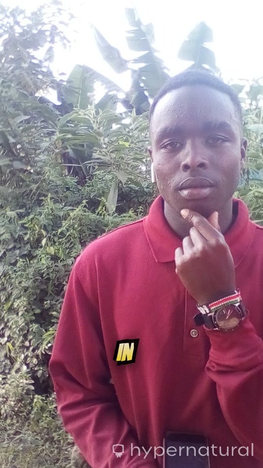 Noah's Ark: A Tale of Respect for His Son