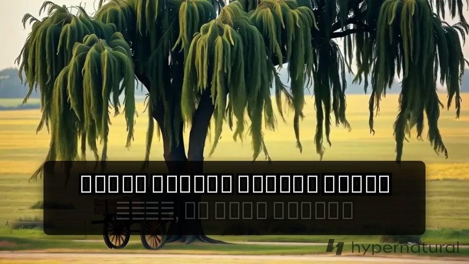 মেসির কৃষিকাজের চমক