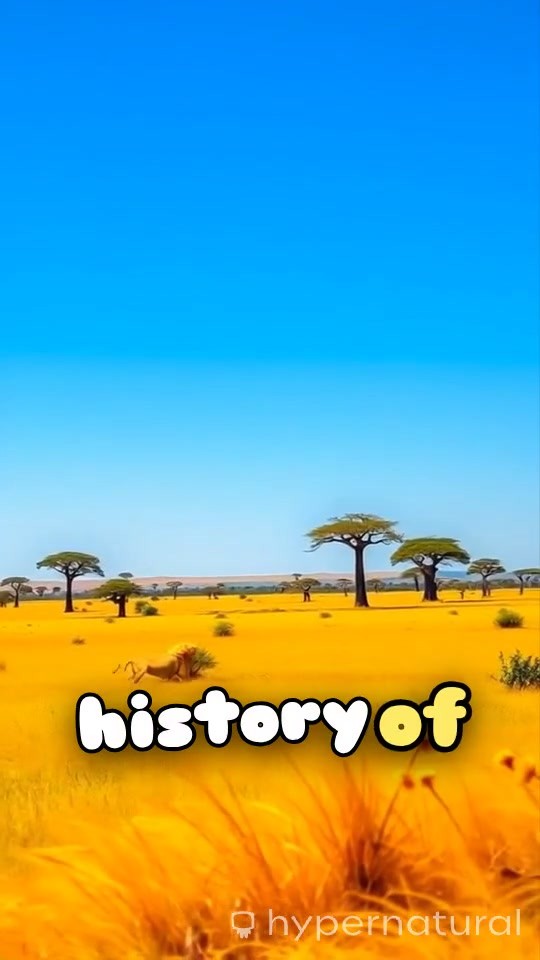 Exploring African History