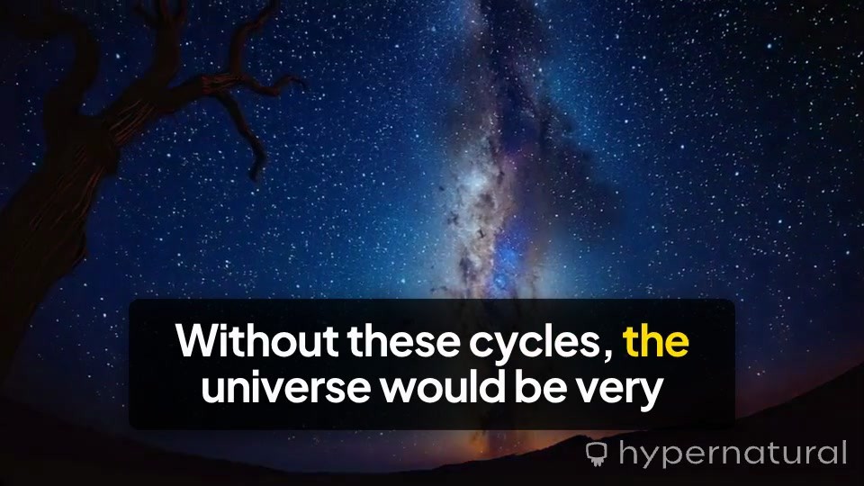 The Cosmic Cycle: Birth, Life, and Legacy of Stars