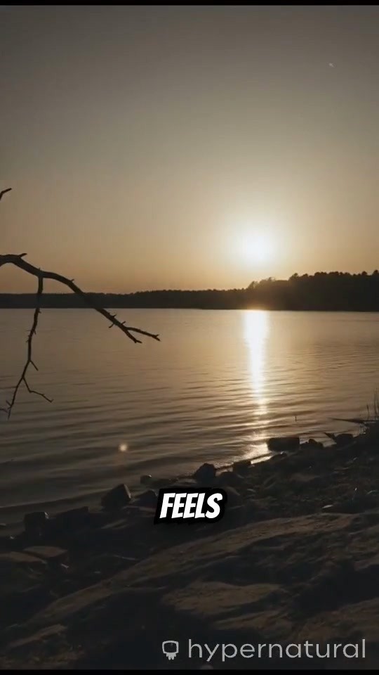 The Quiet Power of Intentional Change