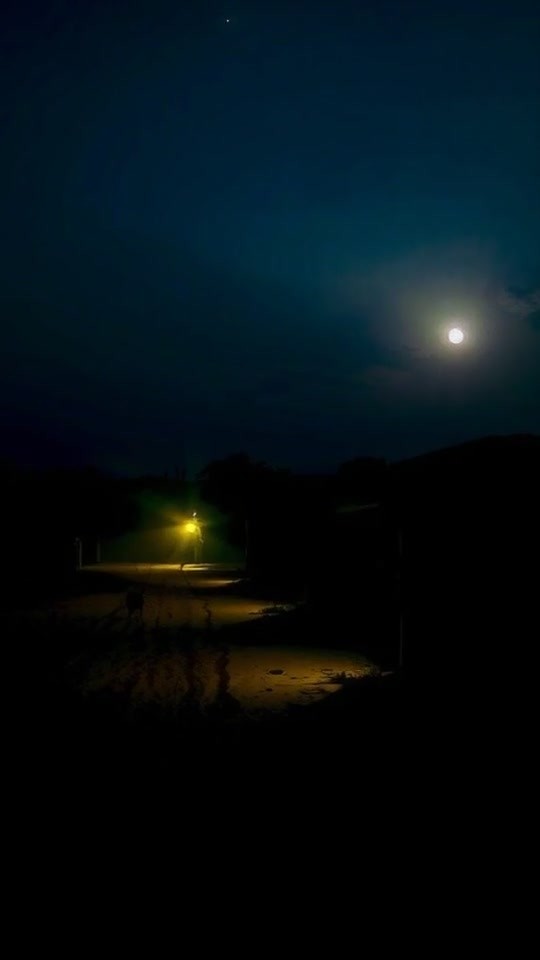 From Rags to Riches: A Sierra Leonean Boy's Journey