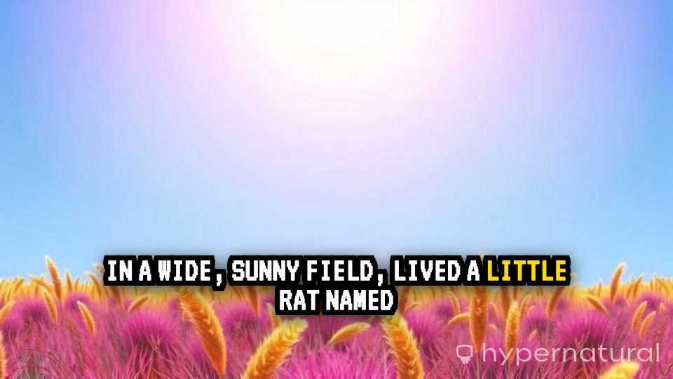 The Adventures of the Little Rat