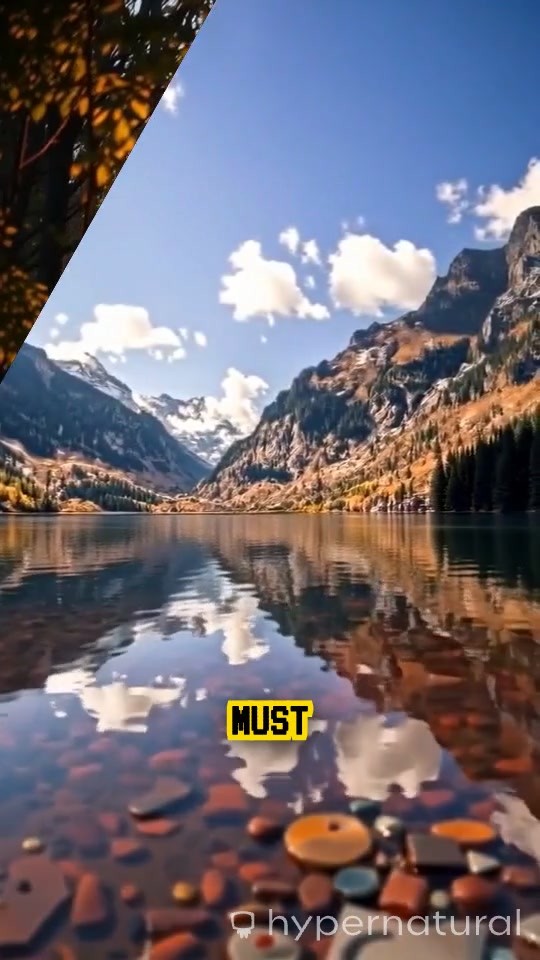 Terus Melangkah Maju