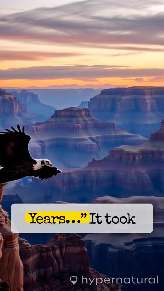Carving Your Canyon: The Power of Progress