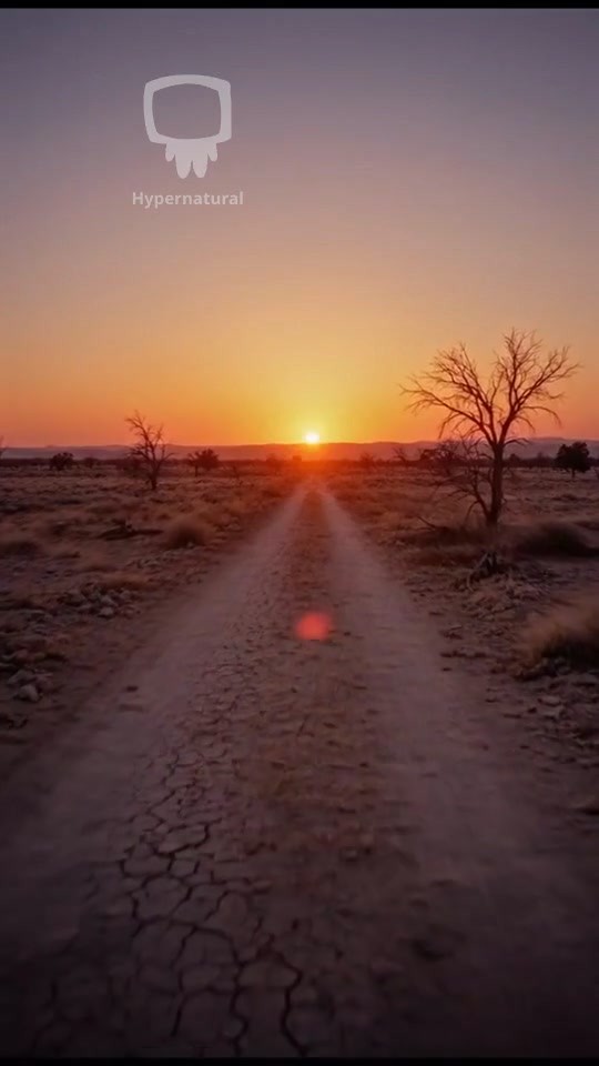 The Gathering of Hope