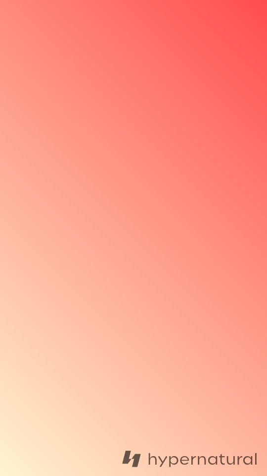 স্পাইডারের জাল: প্রতিশোধের গল্প