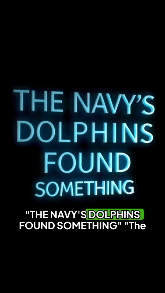 What Dolphins Discovered Beneath the Waves