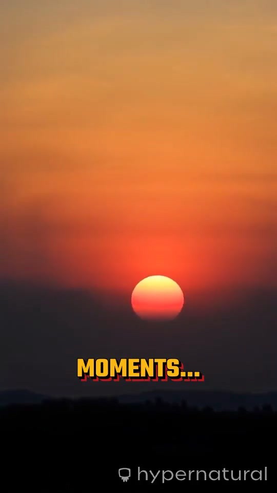 The Essence of Elegance: Aurore Parfums Unveiled