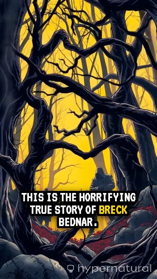 Gamer's Deception: Breck Bednar's Tragic Story