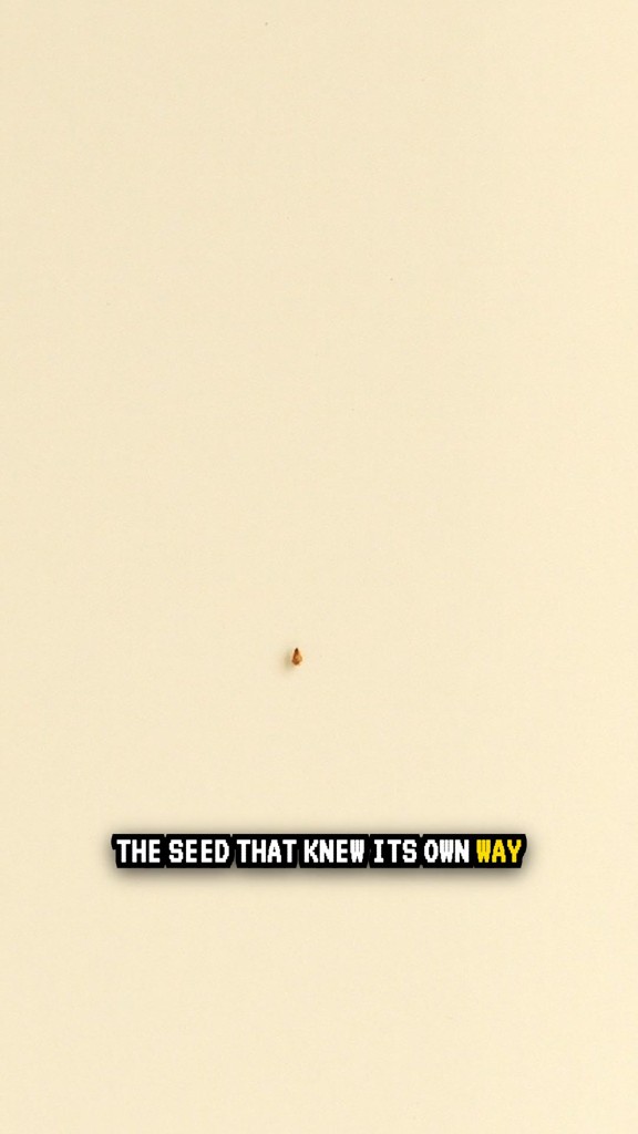 A Father's Dream vs. A Son's Passion