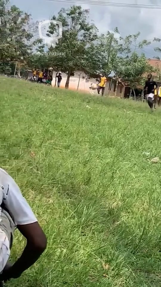 A Boy's Daily Training in the Park