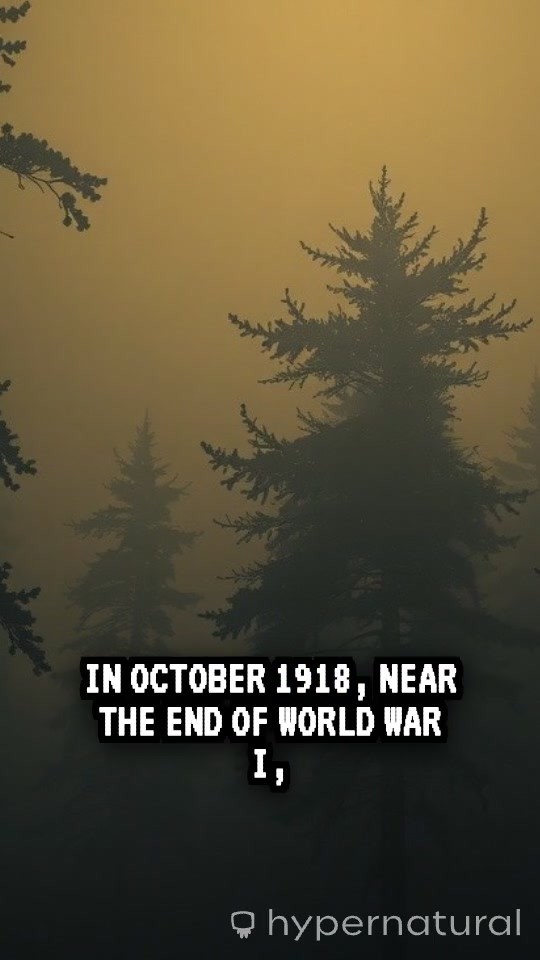 The Lost Battalion: A Pigeon’s Last Message