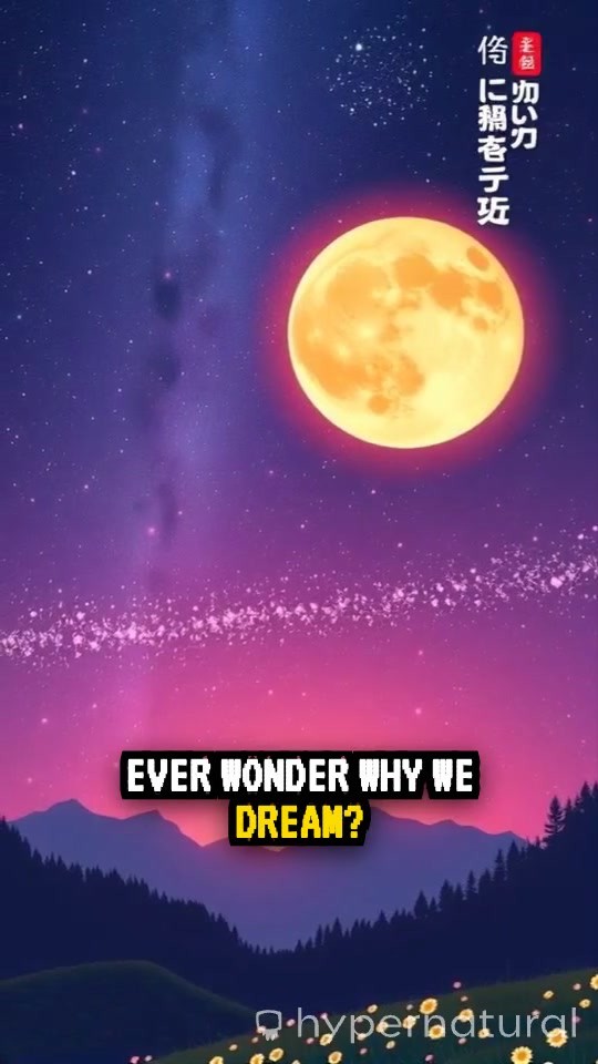 Unveiling the Mysteries of Dreams in 30 Seconds