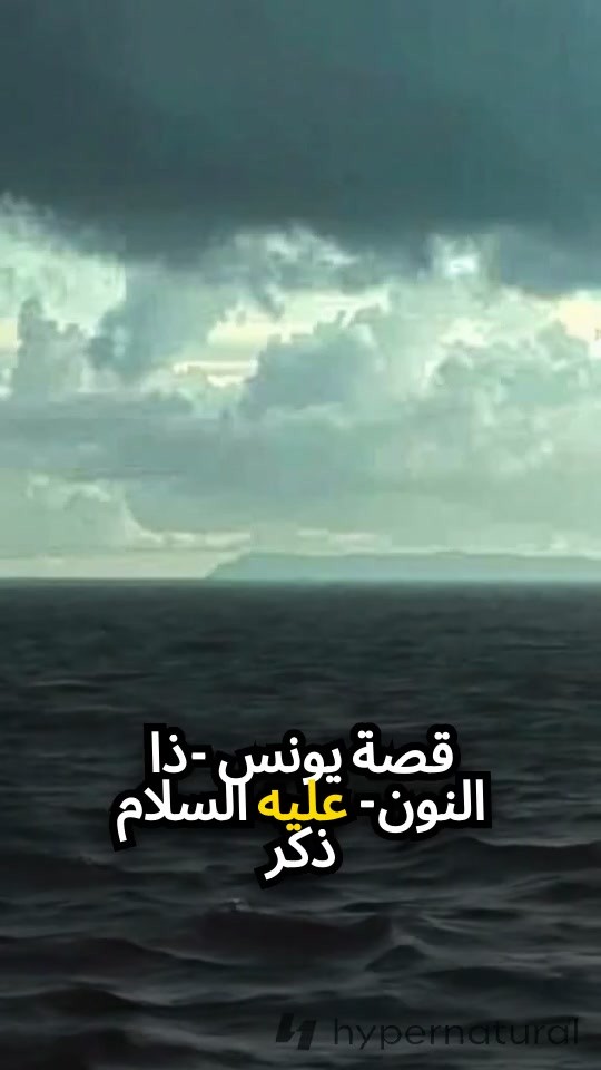 قصة يونس عليه السلام وصاحب الحوت
