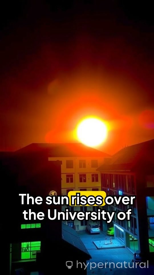 A Day in the Life of a Nigerian University Student