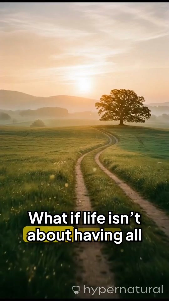 The Compass of Curiosity: Embracing Wonder