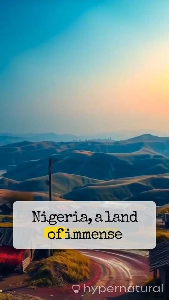 The Richest Man in Nigeria