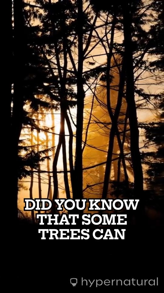 Random Fun Facts About Humans, Animals, Earth & More!
