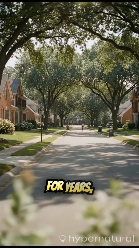 The Colors of Curiosity