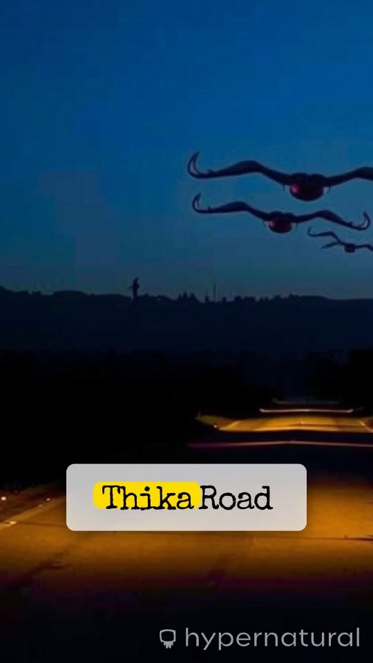The Vanishing Hitchhiker of Thika Road