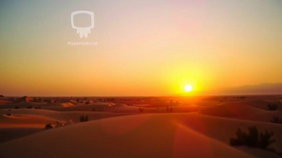 Mansa Musa: The Man Who Changed an Economy