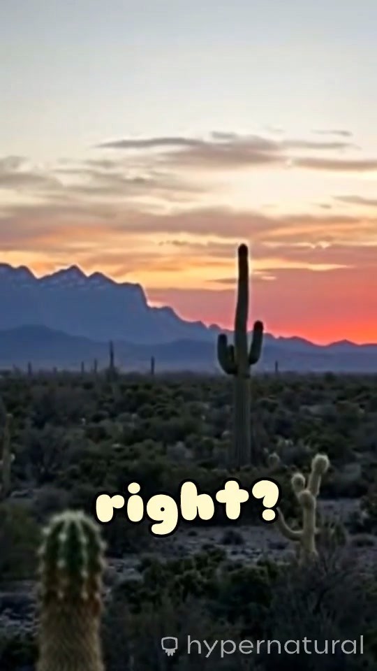 5 Unexpected Facts About Texas