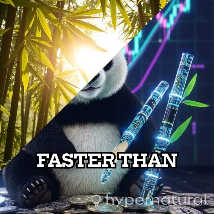 Pandu: The Community-Driven Meme Coin Taking Off!