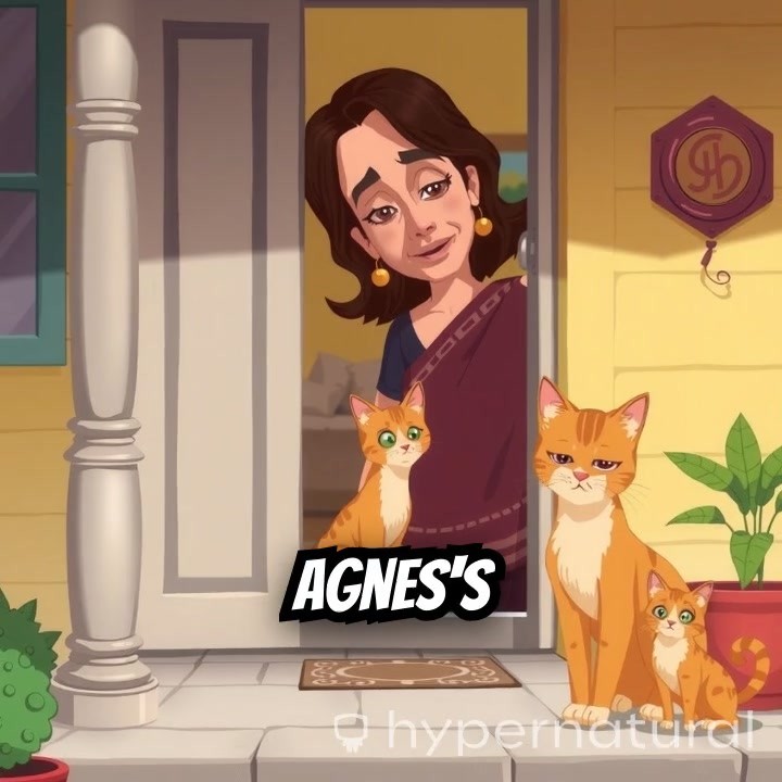 A New Friendship: The Stray Cat's Kittens