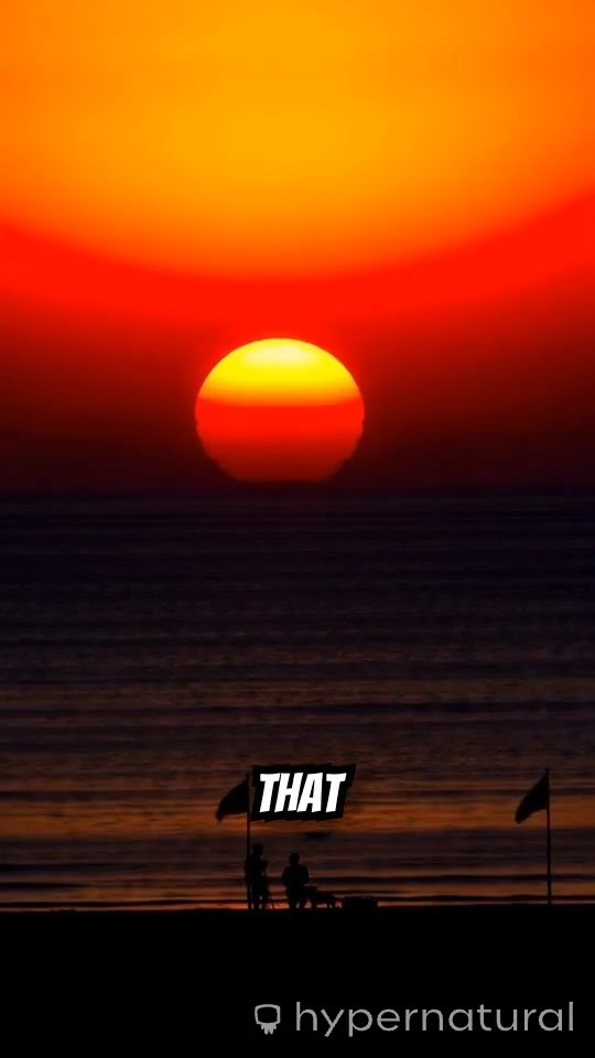 Every Sunrise: Embrace New Beginnings