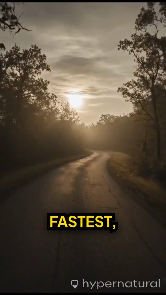 Moving Through the Weight of Life