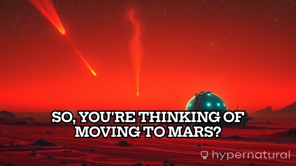 Life on Mars: What to Expect