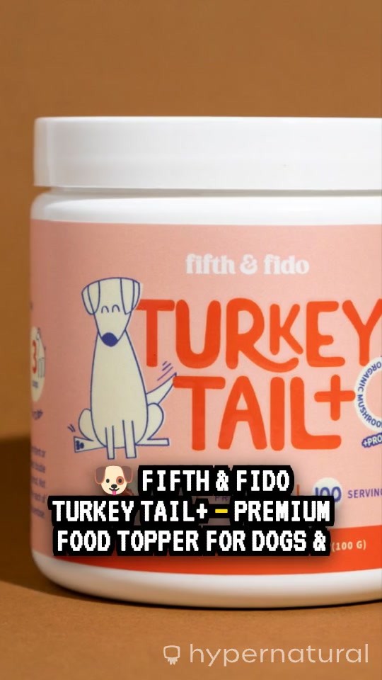 Enhance Your Dog's Health with Turkey Tail+: Natural Immune Support!
