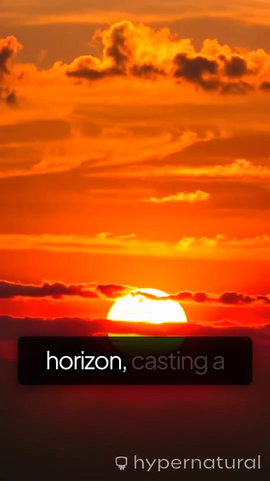 Echoes of Heritage: A Heartfelt Song Beneath the Sunset