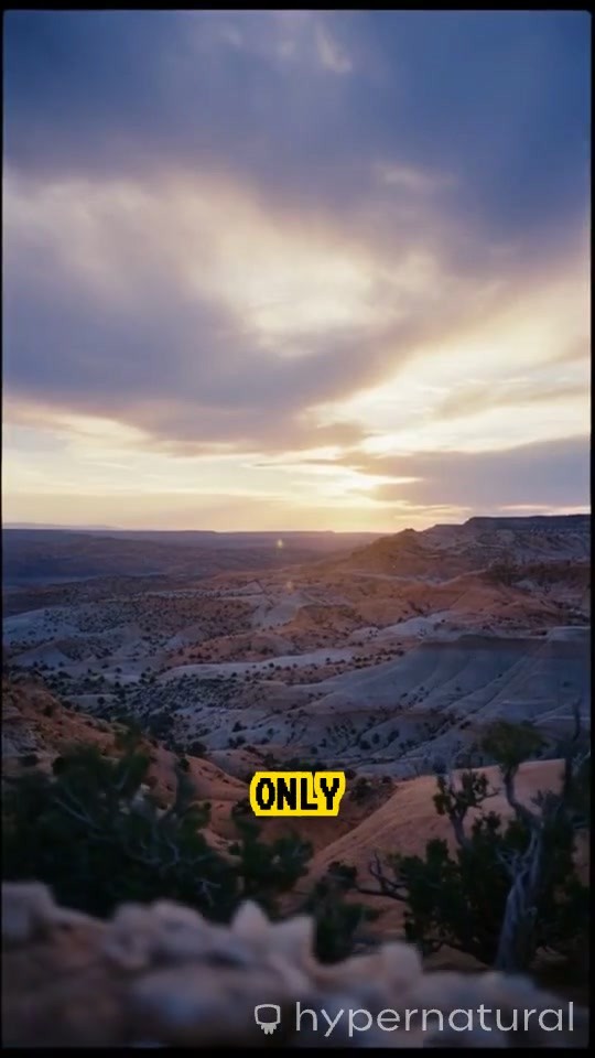 Tale of God and Angels