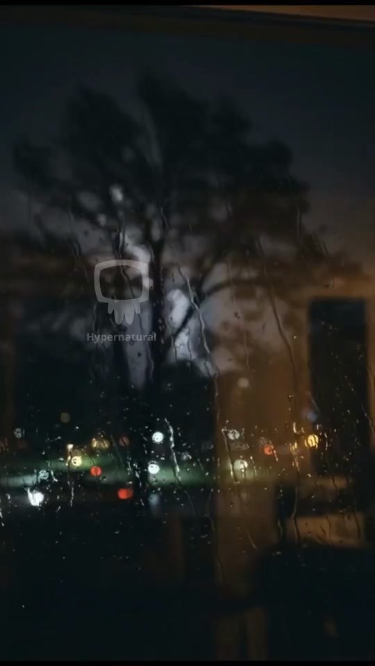 A Video About a Virtuous Woman