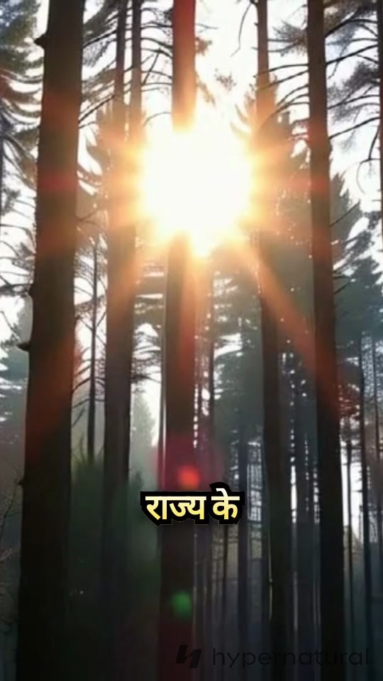 लॉस एंजेलिस में भीषण जंगल की आग: 11 मृतक, 10,000 इमारतें नष्ट