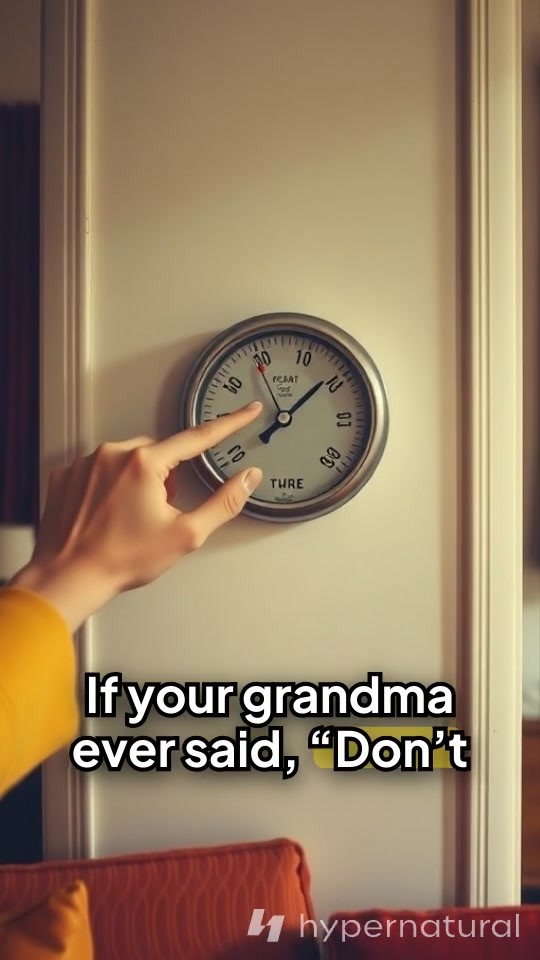 Grandma Bernice: The Thermostat Guardian