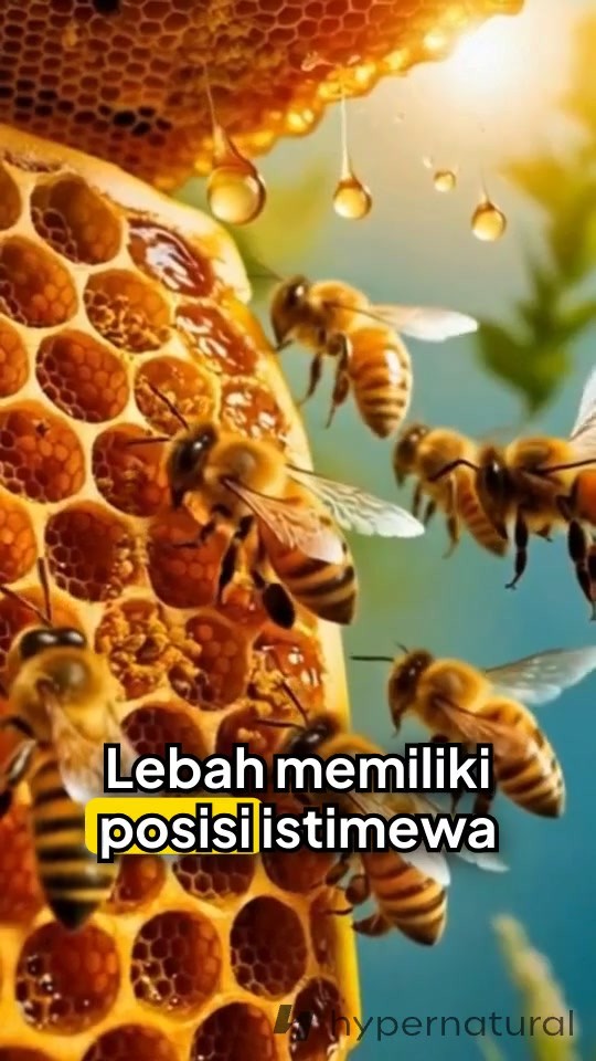 Desain tanpa judul (1).mp4