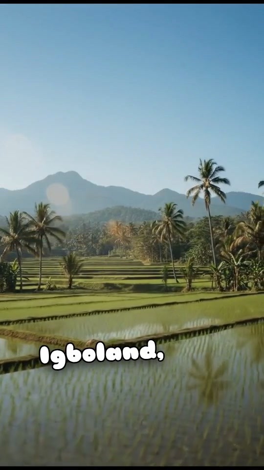 Igbo Palm Oil: Survival and Resilience in Biafra