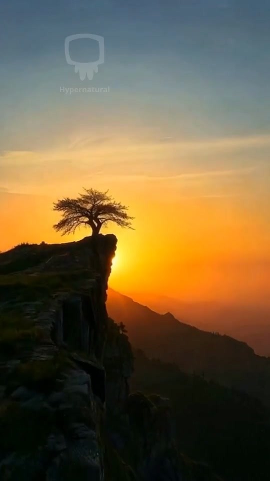 Strength Through Struggle